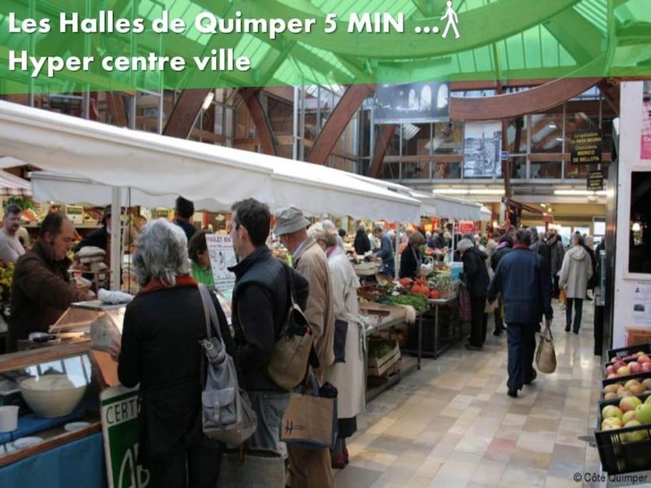 Oo Le Jardin Oo Paisible Studio Equipe Et Bien Place Quimper Exterior foto